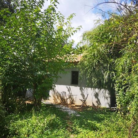 Villa Griseor Porto-Vecchio (Corsica) Exterior foto